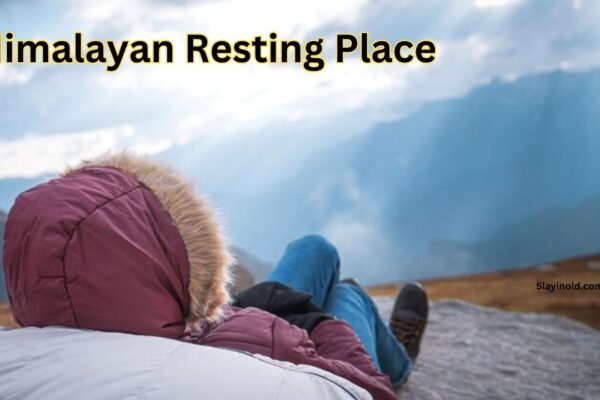 Himalayan Resting Place