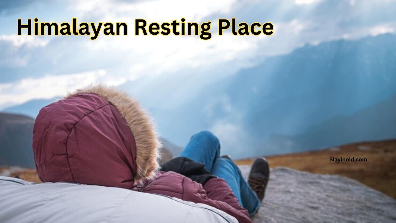 Himalayan Resting Place