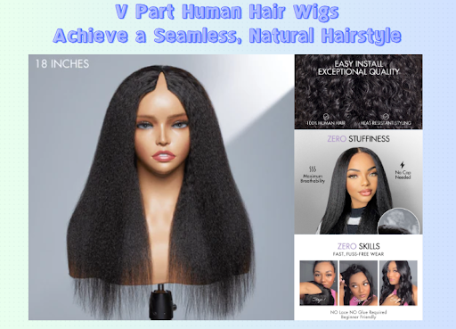 Human Hair Wigs